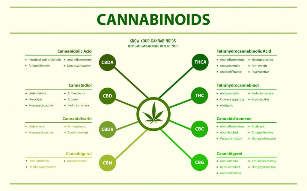 A diagram showing the benefits of cannabinoids