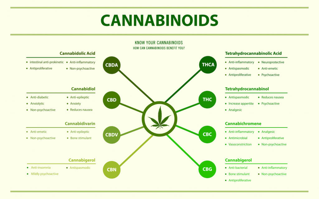 Cannabinoid Guide