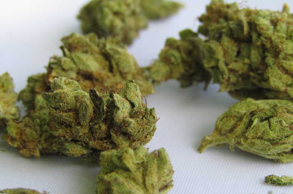 A close-up photo of a bud of dried cannabis.
