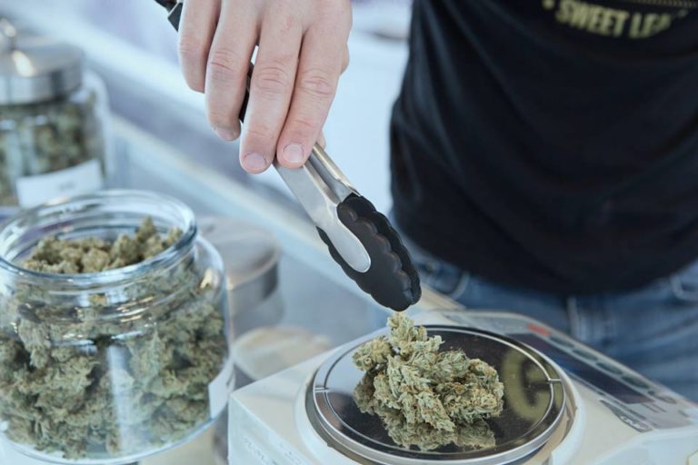 Someone in a dispensary weighing dried cannabis flower.