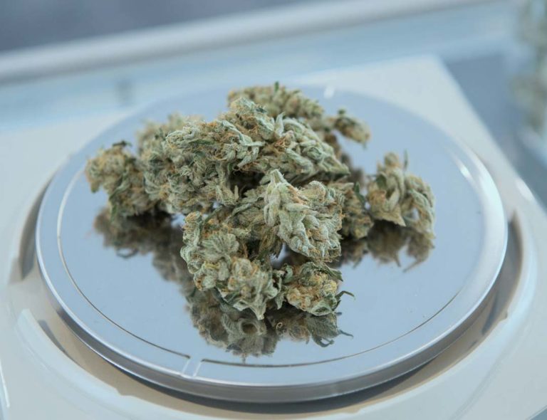 Marijuana displayed at a medical dispensary.