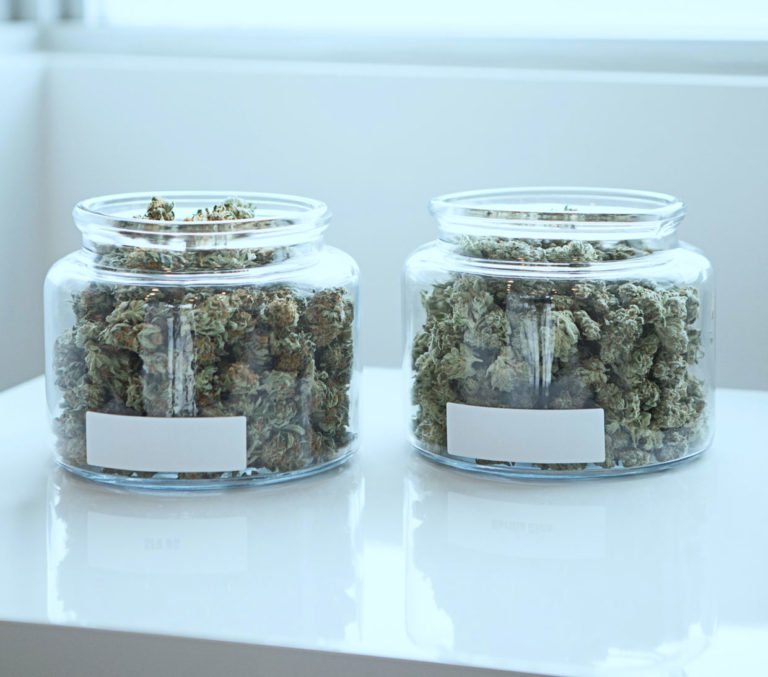 Medical marijuana on display.