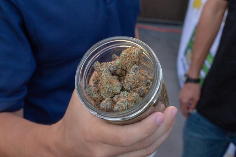 A person holding a jar of dried cannabis flowers.