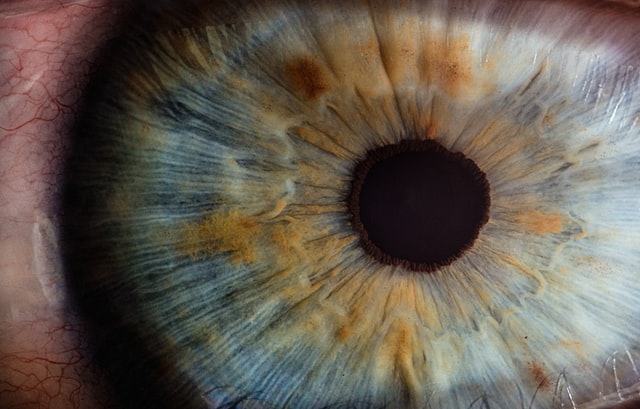 Close up of an eye that is blue with brown specks