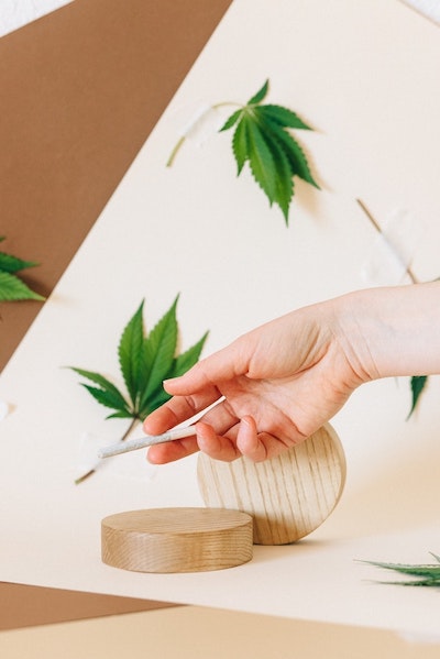 A person’s hand holding a blunt with marijuana leaves in the background.