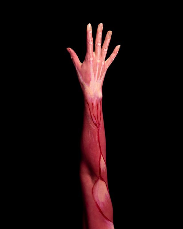 A person’s arm raised in the air with the nerves and muscles painted on