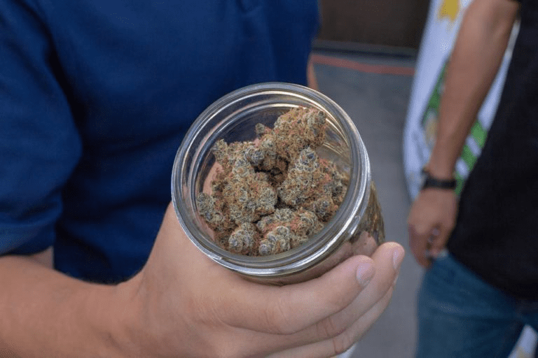 Person holding a jar of dried cannabis flowers