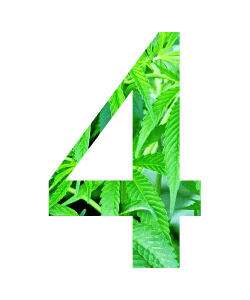 number four written in marijuana theme