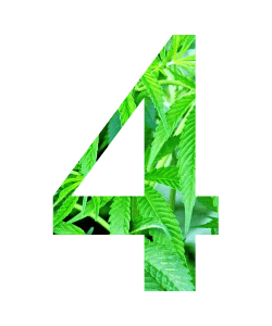 number four written in marijuana theme