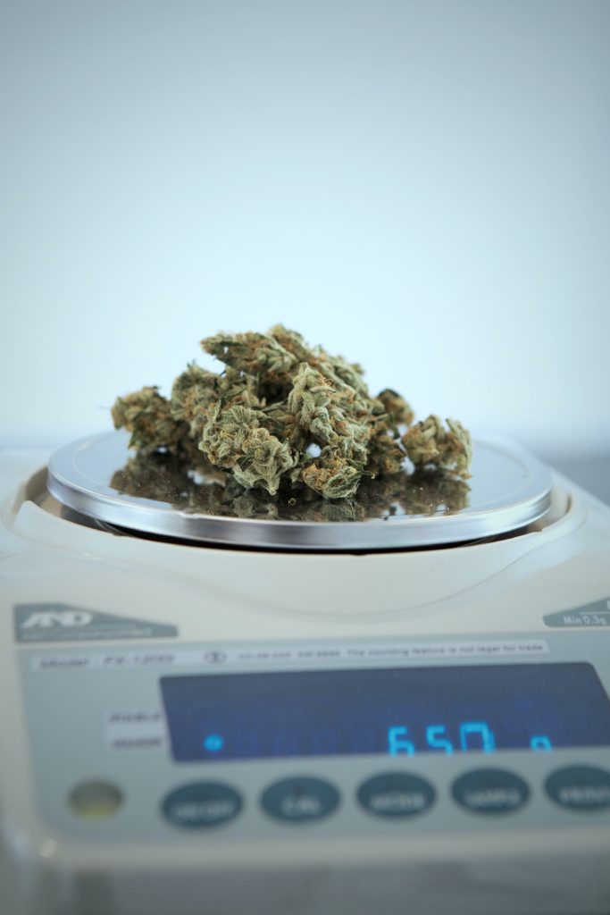 A pile of weed being measured on a scale, showing several dried cannabis buds on a reflective circular metal plate of a professional digital laboratory scale with a glowing blue display.