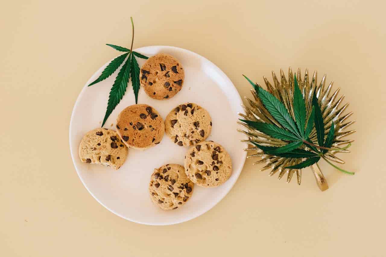 Chocolate chip cookies on a plate next to hemp leaves