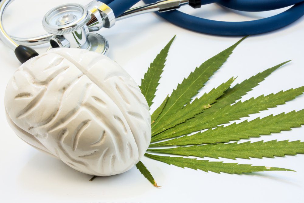 Model brain, stethoscope, and pot leaf on a table