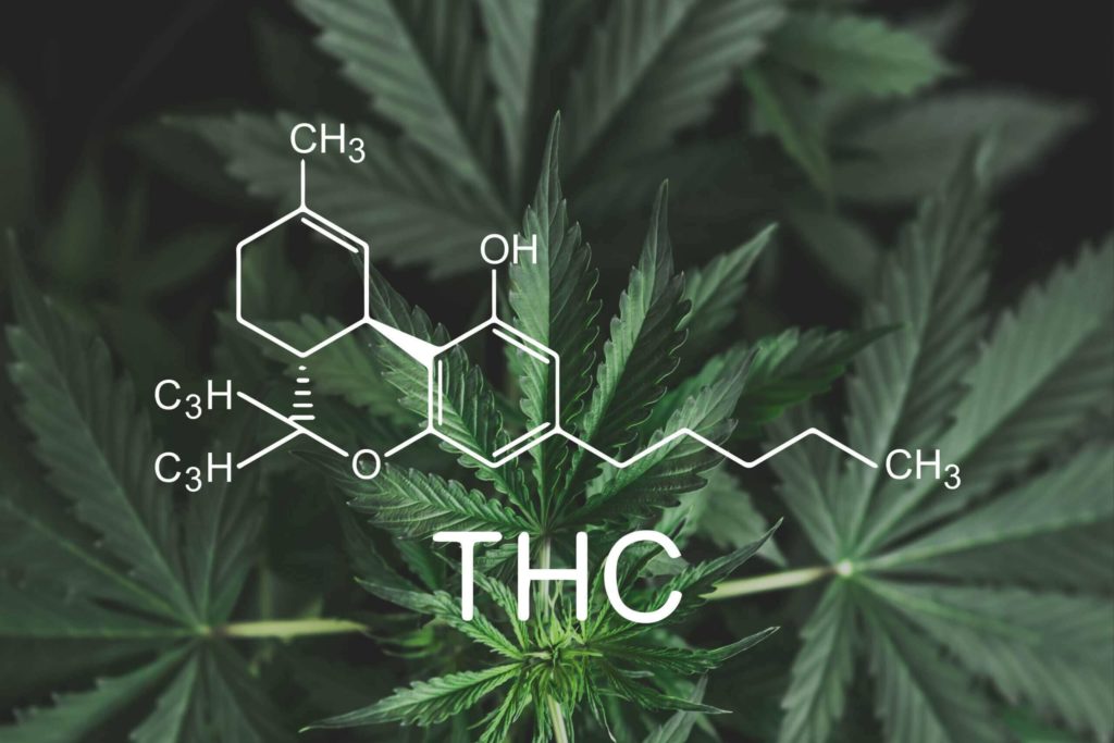 An illustration of the chemical structure of THC