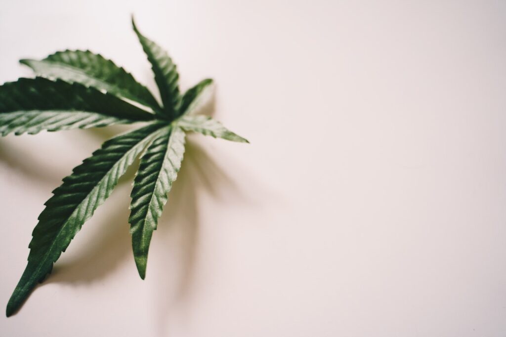 A detailed close-up of the iconic serrated edges of a marijuana leaf positioned on the left side of the frame, casting a soft shadow against a clean, minimalist white background with ample negative space.