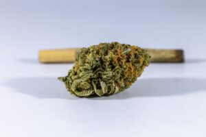 A cannabis flower in front of a joint