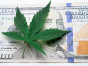 Cannabis leaf on top of a hundred-dollar bill