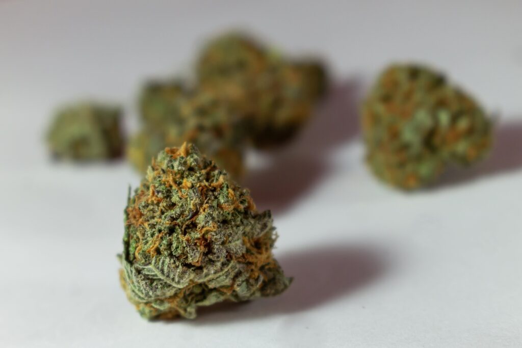 Dried cannabis buds