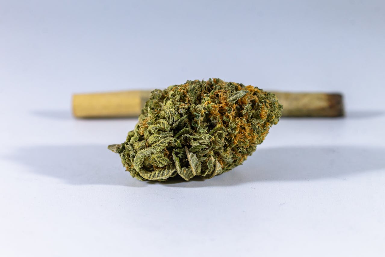 A cannabis bud in front of a joint