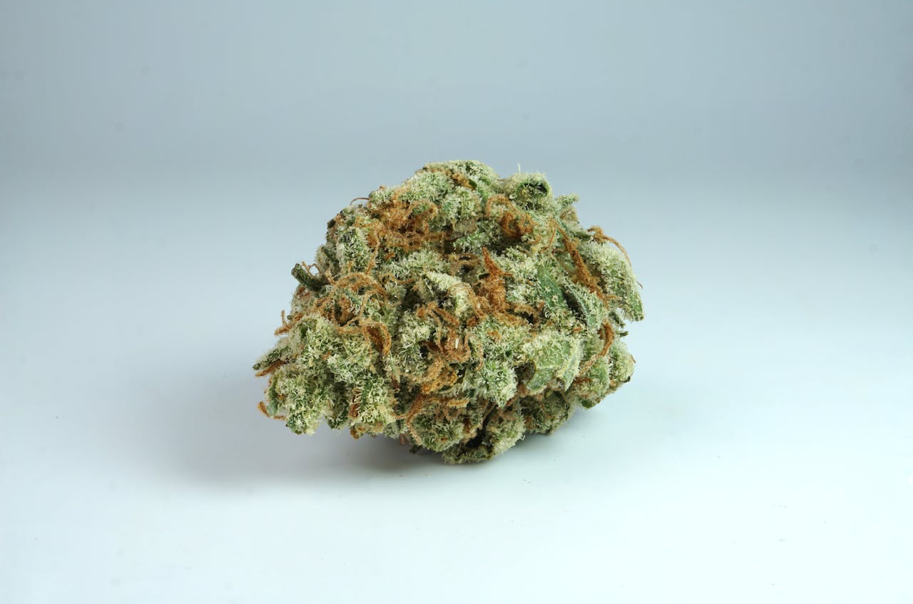 Close up of a cannabis bud on a white surface