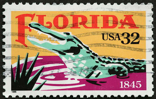 To shop at dispensaries in Florida, you need to have a valid medical card. Renew yours with Ozark MMJ Cards!