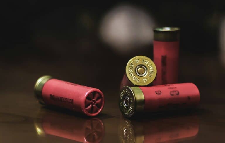 Close-up of red shotgun shells symbolizing firearm ownership laws related to medical marijuana cards in Florida.