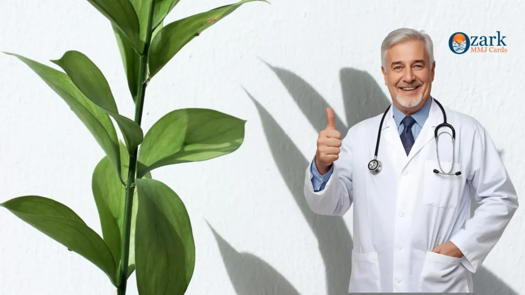 Smiling medical doctor giving a thumbs-up beside green plant leaves, representing Medical Marijuana Card renewal Tampa services at Ozark MMJ Cards.