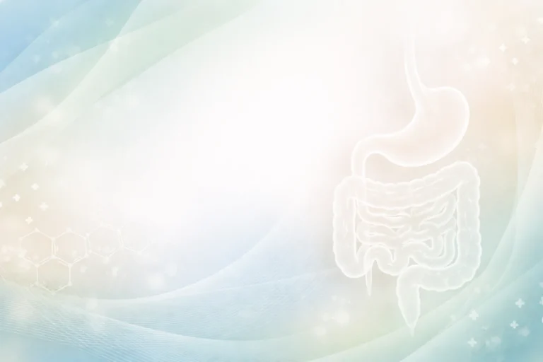 Illustration of the digestive system used to explain is IBS an autoimmune disease