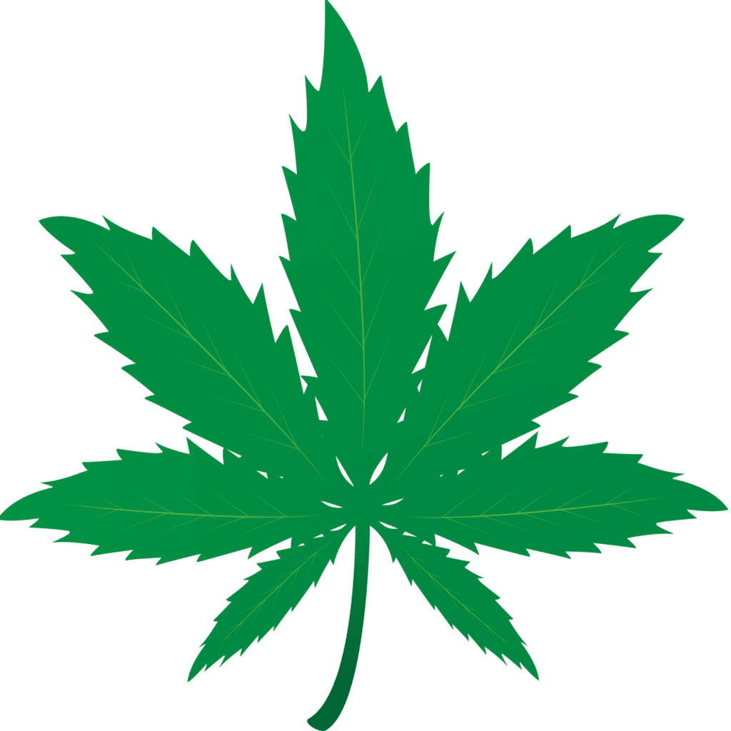 An image of a cannabis leaf.