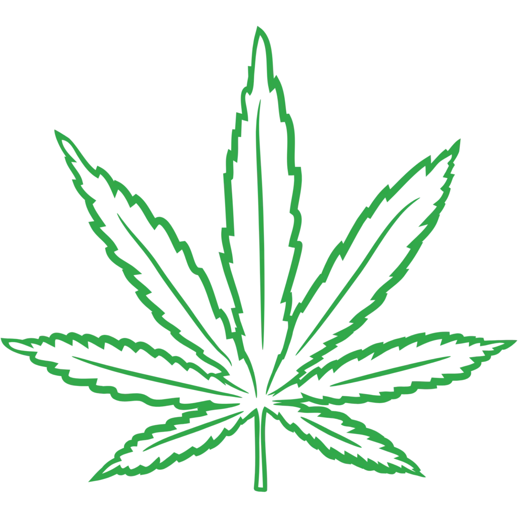 Green line icon of a cannabis leaf labeled "Flower" representing raw medical marijuana flower