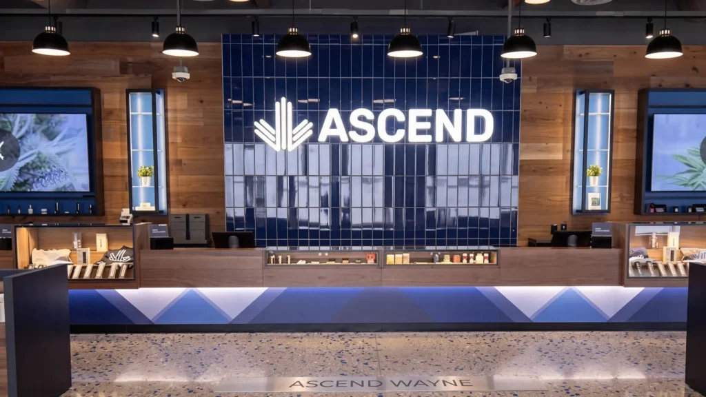 An interior shot of the modern reception counter at Ascend Medical Marijuana Dispensary - Wayne featuring a bold blue tiled wall with a brightly lit logo, warm wood paneling, and polished terrazzo flooring.